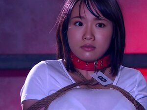 Kaho Shibuya Porn porn videos at Xecce.com