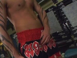 Free Solo Gay Porn - Free Sex Videos : PornZoe.com