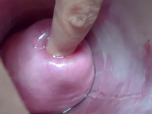In-Depth Look at Extreme Insertion Videos Only at xecce.com
